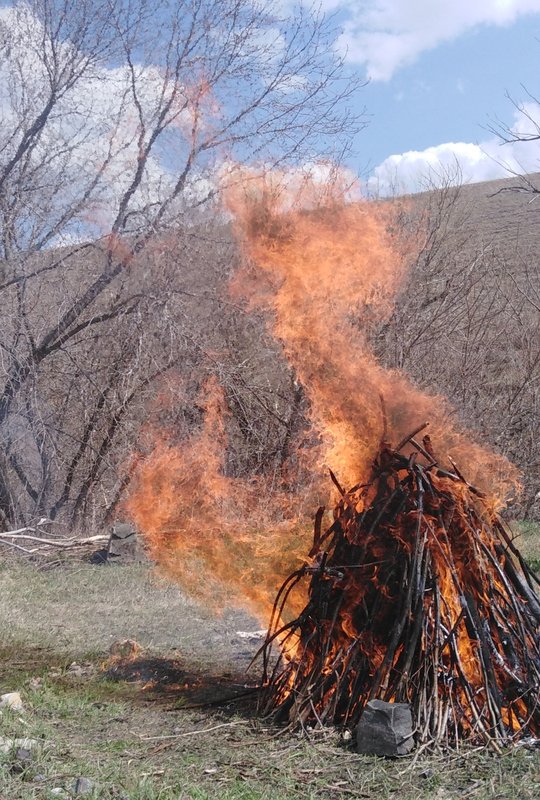 Огненный Мир-Плазма Огня- - Страница 7 - Форум 