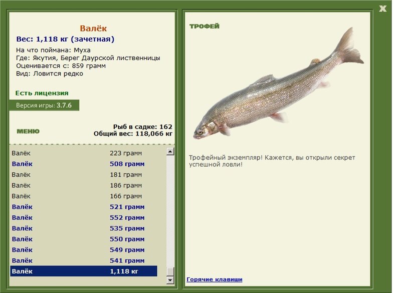 Валёк 