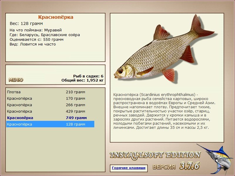 Браславские озёра 