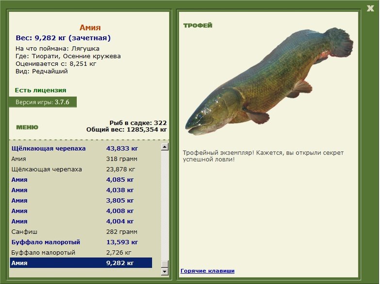 Амия 