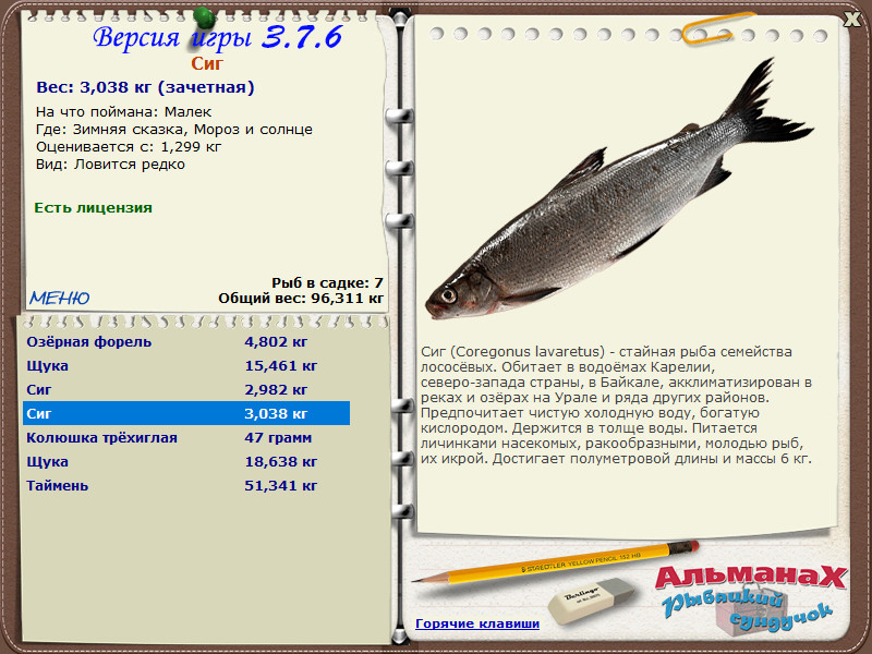 Зимняя сказка 