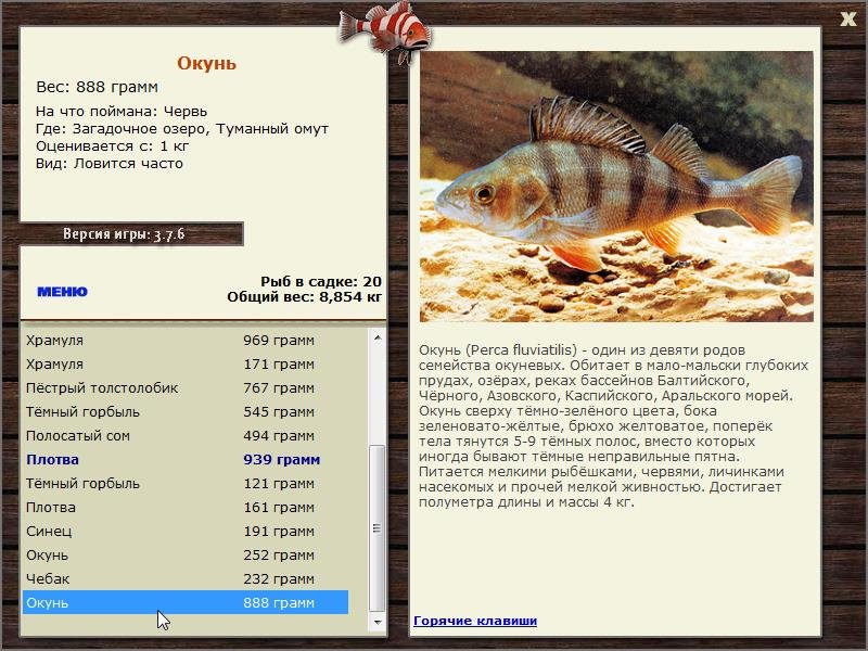 турниры • РУССКАЯ РЫБАЛКА
