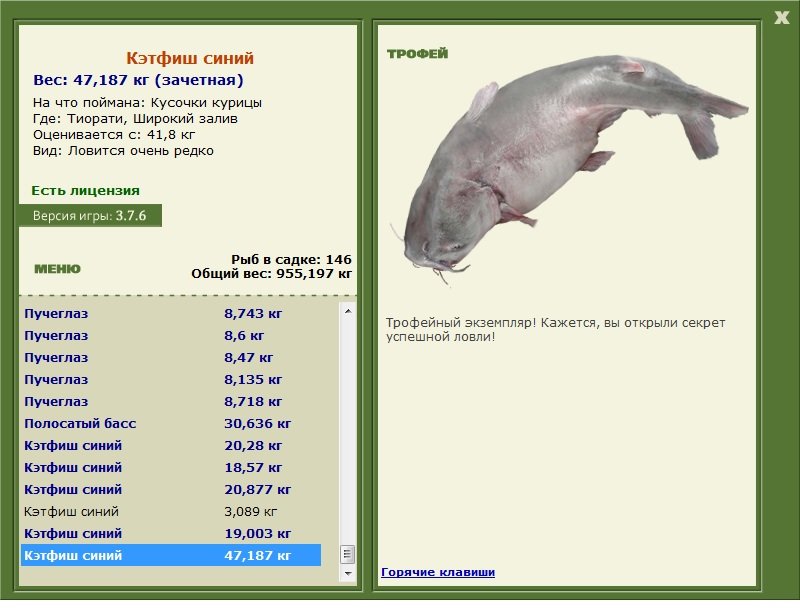 Кэтфиш синий 