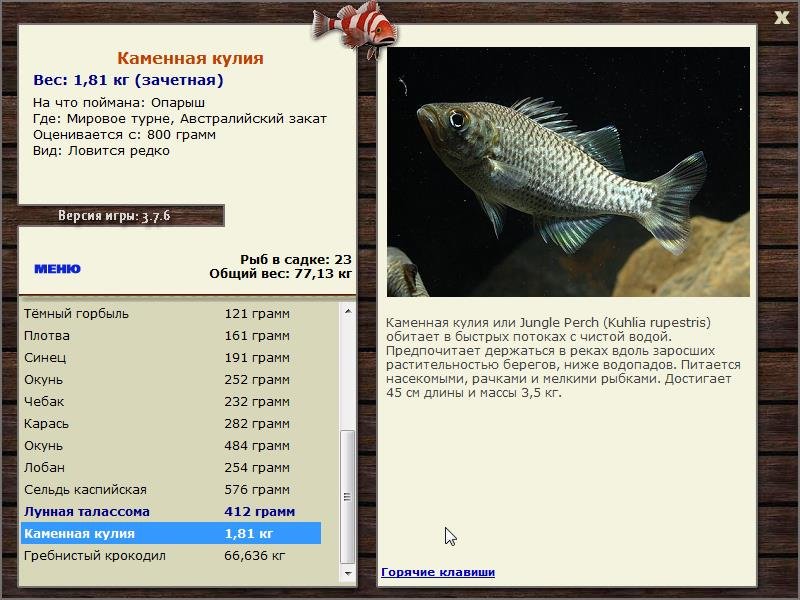 Мировое турне 