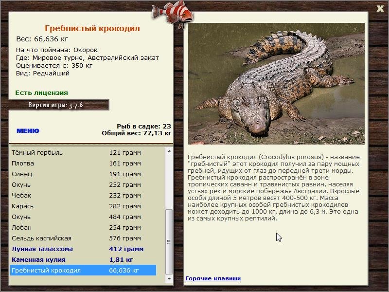турниры • РУССКАЯ РЫБАЛКА