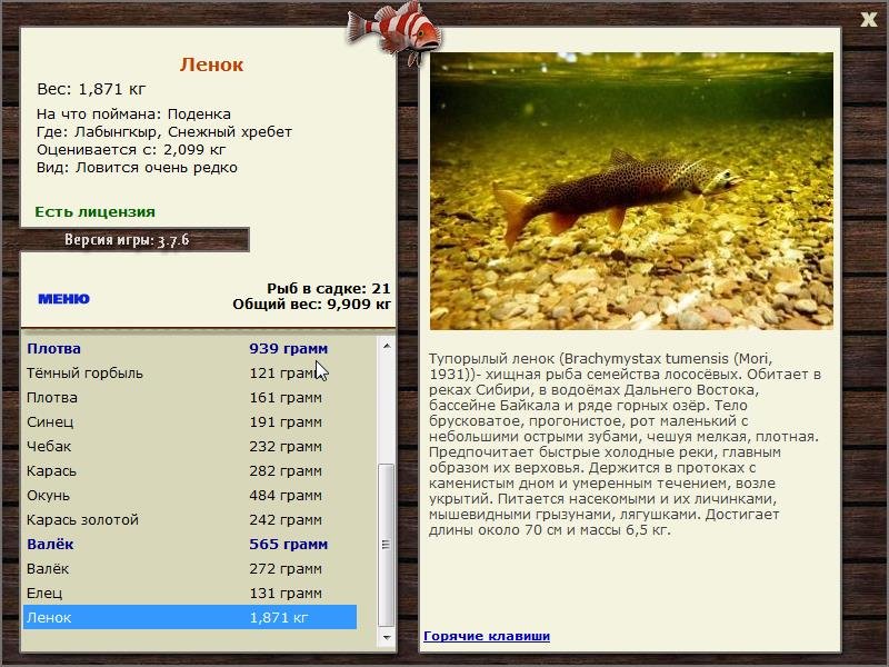 турниры • РУССКАЯ РЫБАЛКА