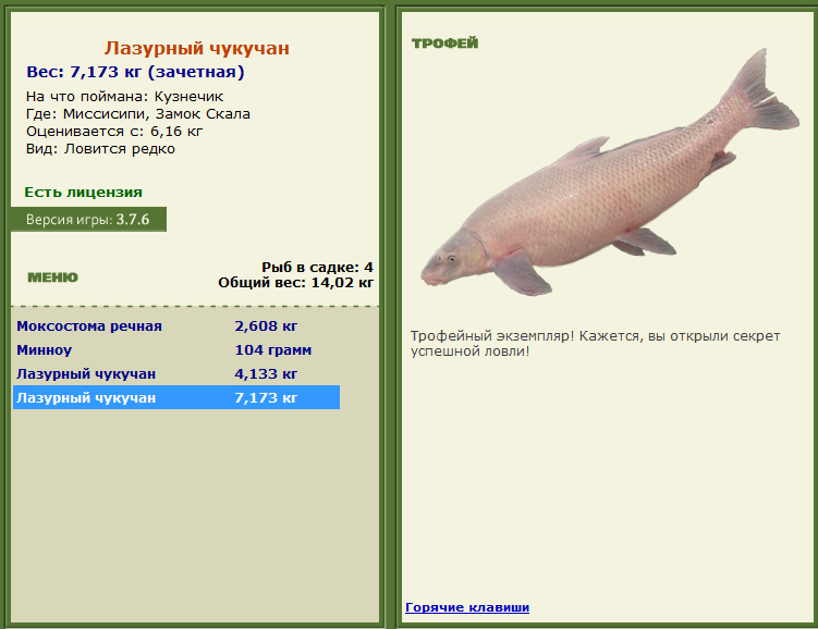 турниры • РУССКАЯ РЫБАЛКА