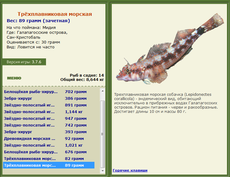 турниры • РУССКАЯ РЫБАЛКА