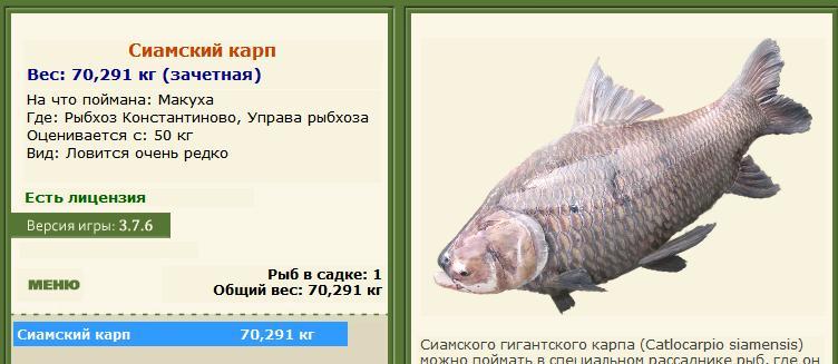 Управа рыбхоза 
