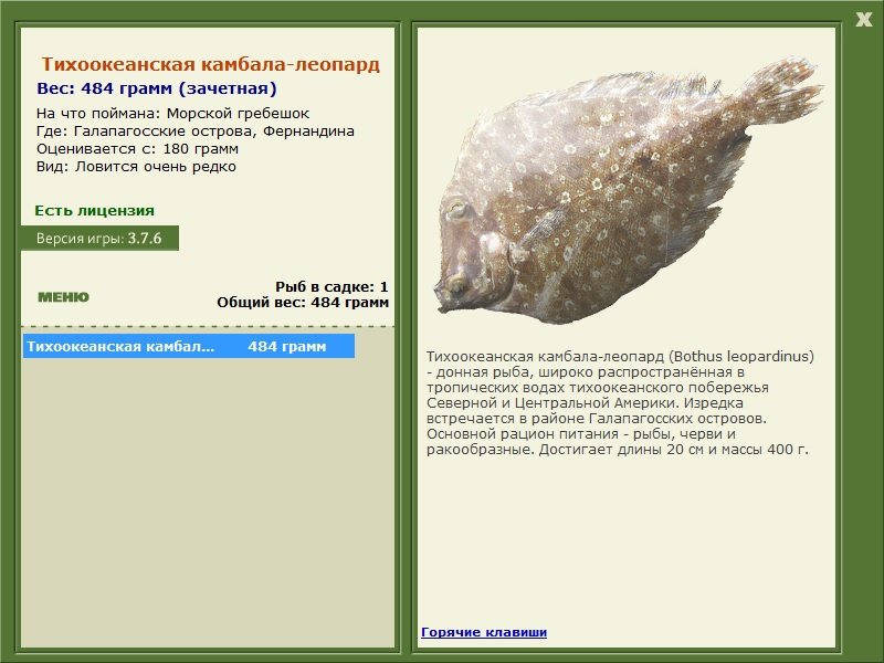Фернандина 