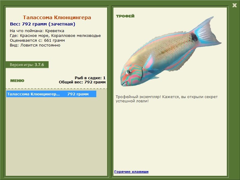 Коралловое мелководье 