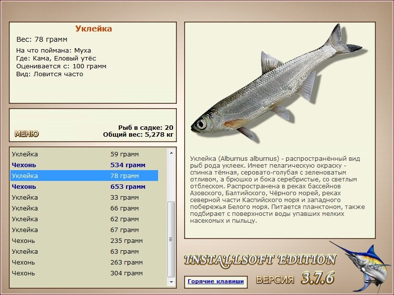 Еловый утёс 
