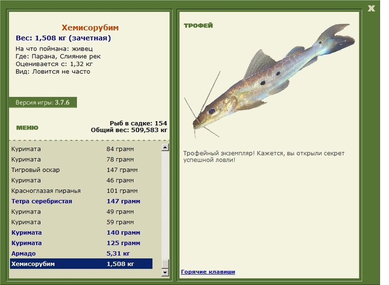 Хемисорубим 