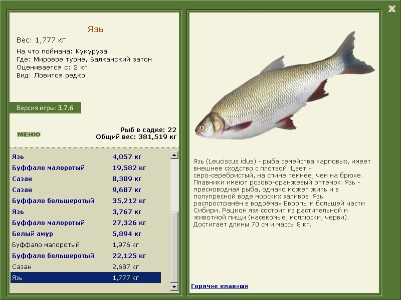 турниры • РУССКАЯ РЫБАЛКА