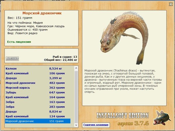 Кавказская лазурь 