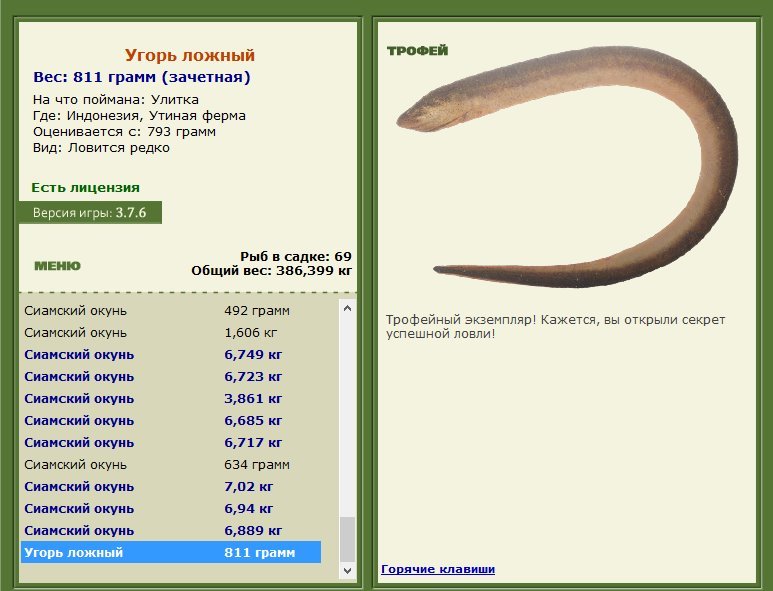 Угорь ложный 