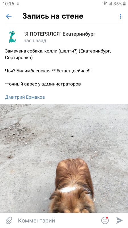 Изображение