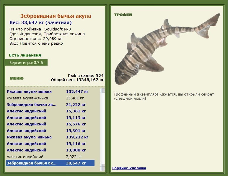 Зебровидная бычья акула 