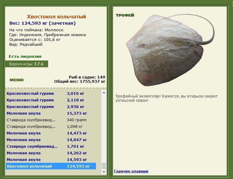 Хвостокол кольчатый 