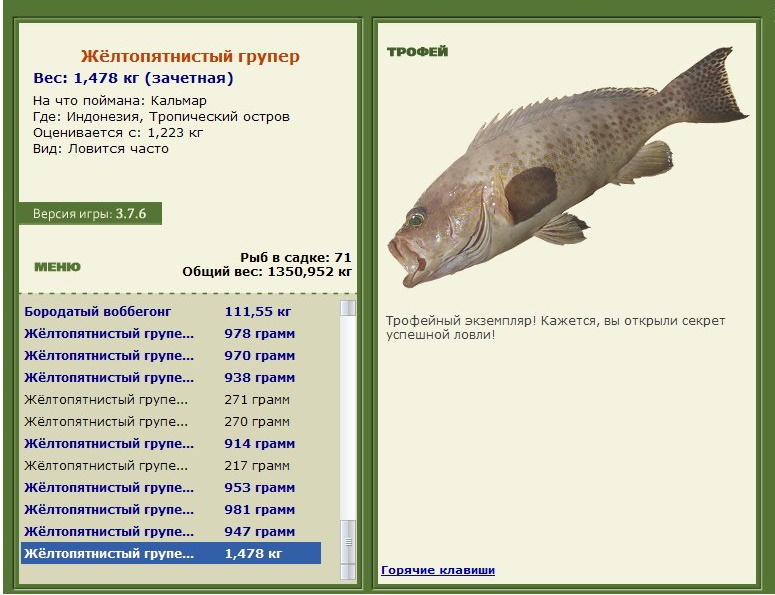 Жёлтопятнистый групер 