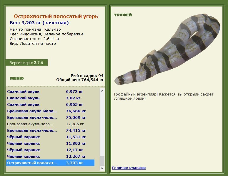 Острохвостый полосатый угорь 