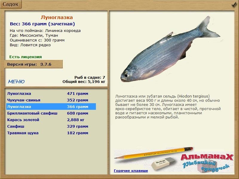 Туман 