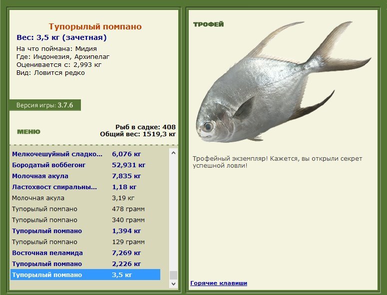 Тупорылый помпано 