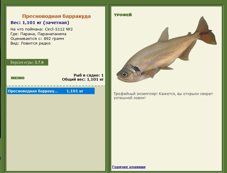Пресноводная барракуда 