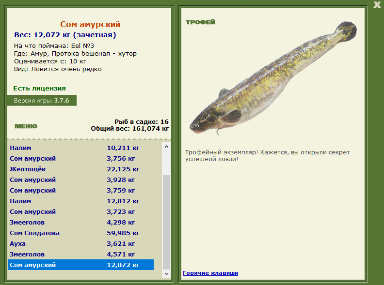 Eel 