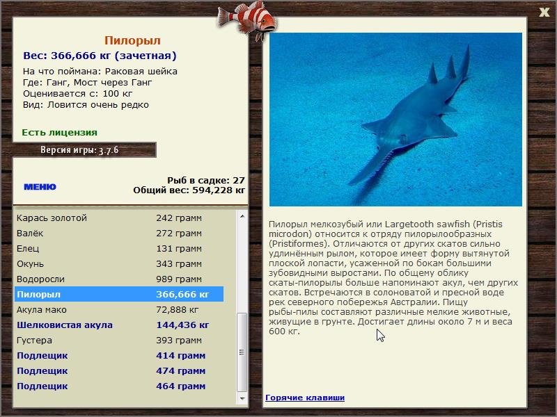 турниры • РУССКАЯ РЫБАЛКА
