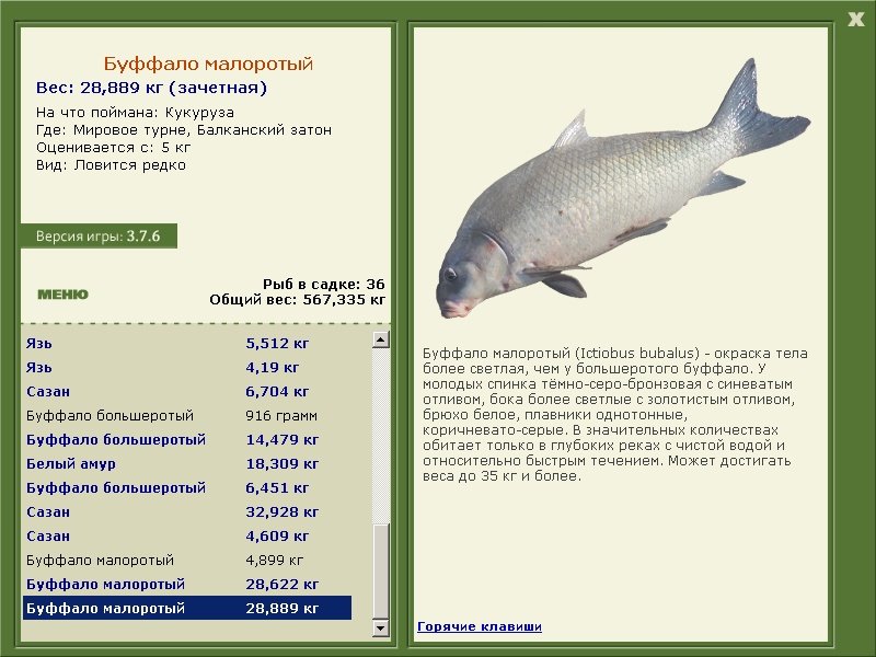 турниры • РУССКАЯ РЫБАЛКА