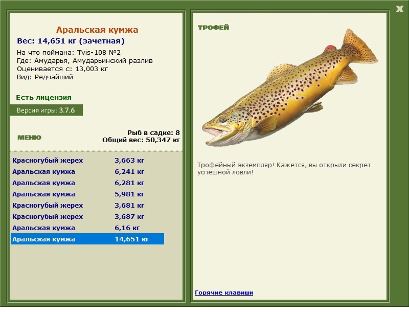 Аральская кумжа 