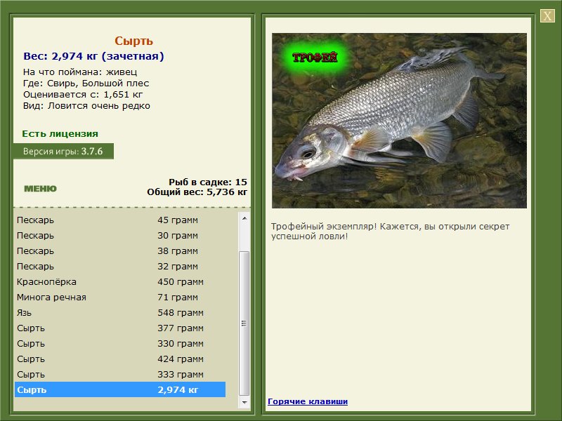 Заявки на рекорд 