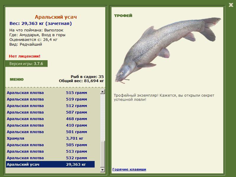 Аральский усач 