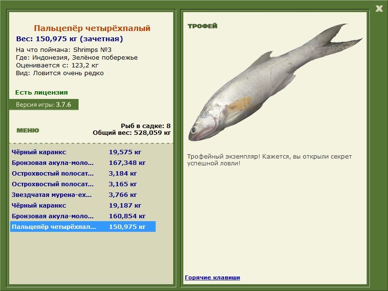 Зелёное побережье 