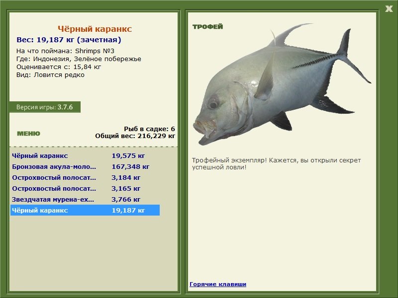 Чёрный каранкс 