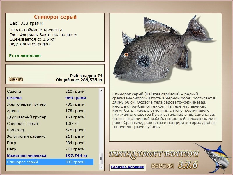 турниры • РУССКАЯ РЫБАЛКА
