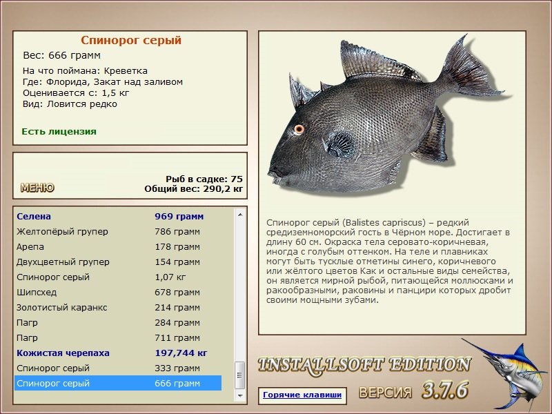 турниры • РУССКАЯ РЫБАЛКА
