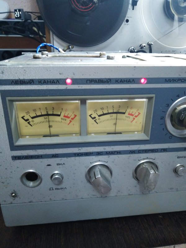  кастрация\обрезание \ первоклашки...