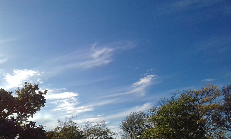  Страница 67 - Форум 