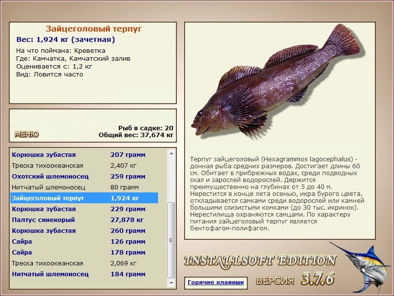 Камчатский залив 