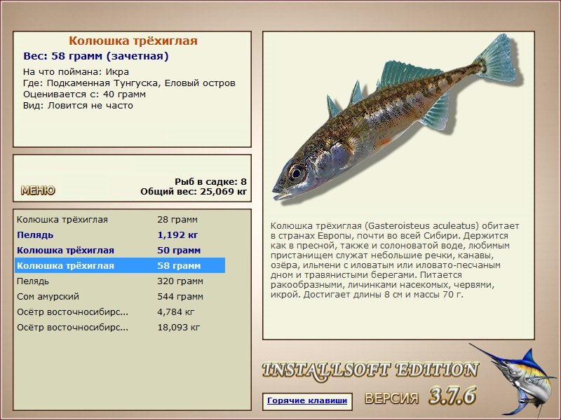 Еловый остров 