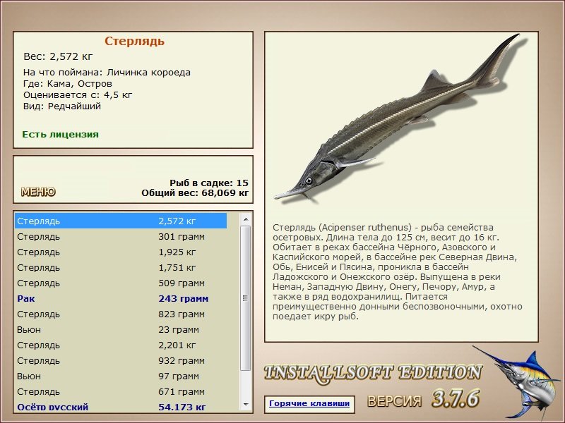 Остров 