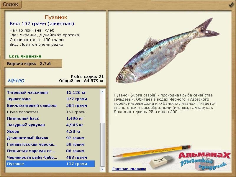 Дунайская протока 