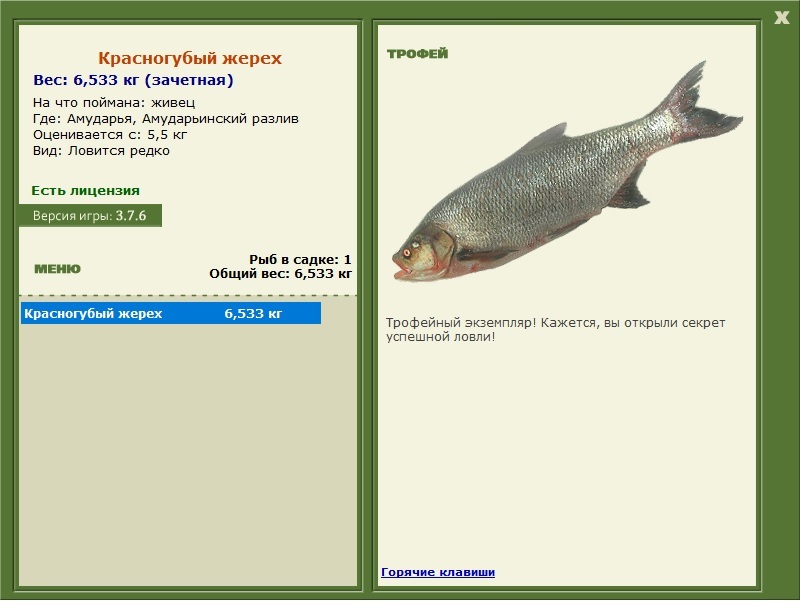 Красногубый жерех 