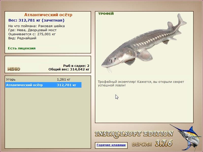 Дворцовый мост 