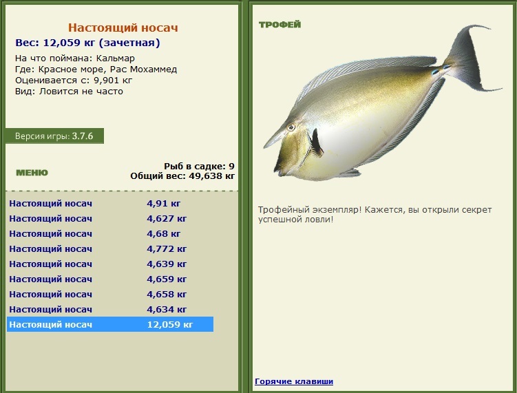 Настоящий носач 