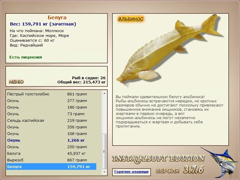 Море 