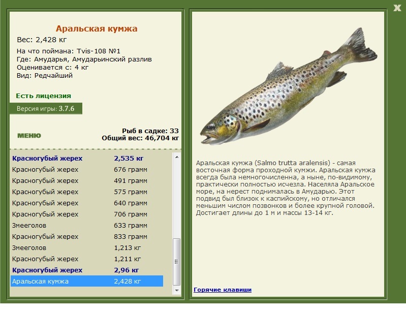 Амударьинский разлив 