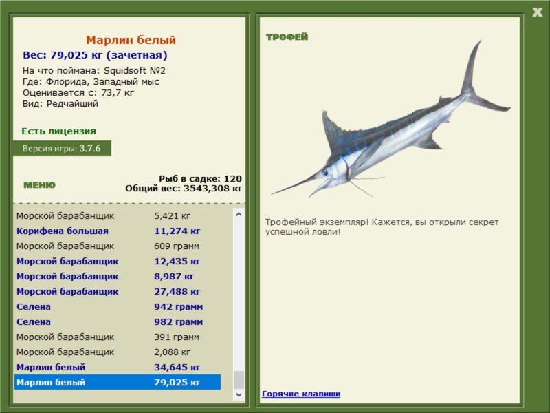 Марлин белый 